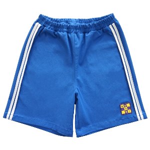 [21ss]Line Pants : Blue ▷45%할인